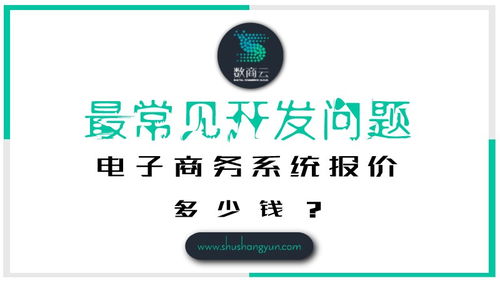 最常見(jiàn)開(kāi)發(fā)問(wèn)題 電子商務(wù)系統(tǒng)報(bào)價(jià)多少錢(qián)